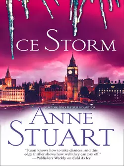 Ice Storm, Anne Stuart