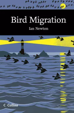 Bird Migration, Ian Newton