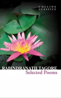 Selected Poems, Rabindranath Tagore