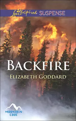 Backfire, Elizabeth Goddard