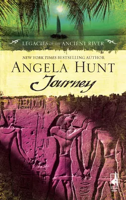 Journey Angela Hunt