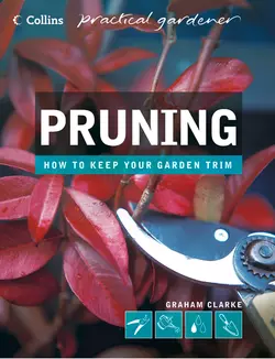 Pruning, Graham Clarke