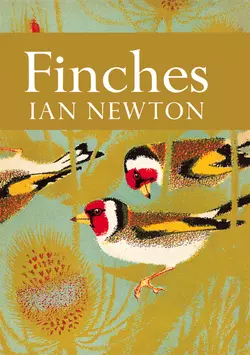 Finches, Ian Newton