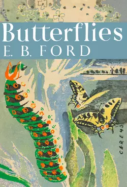 Butterflies, E. Ford