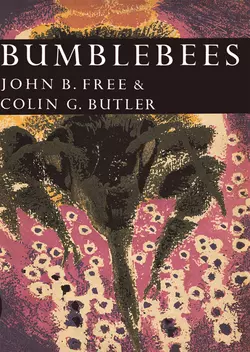 Bumblebees, John Free