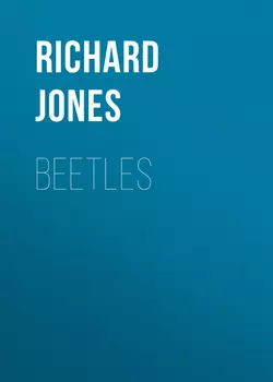 Beetles, Richard Jones