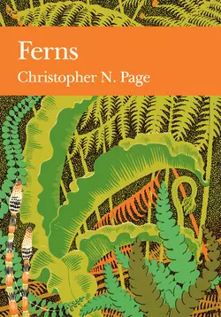 Ferns, Christopher Page