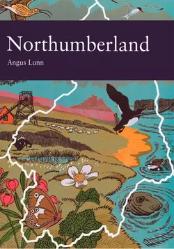 Northumberland, Angus Lunn