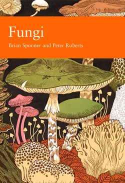 Fungi, Peter Roberts