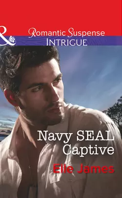 Navy Seal Captive, Elle James