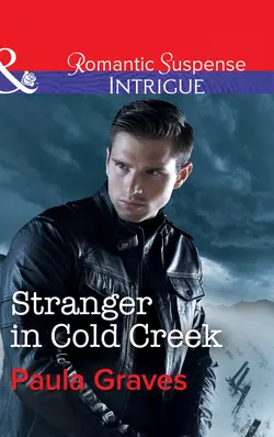 Stranger In Cold Creek, Paula Graves