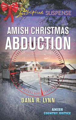 Amish Christmas Abduction, Dana Lynn