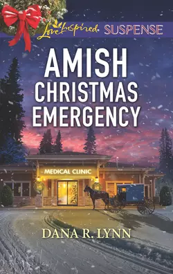 Amish Christmas Emergency, Dana Lynn