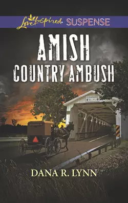 Amish Country Ambush, Dana Lynn