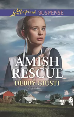 Amish Rescue Debby Giusti