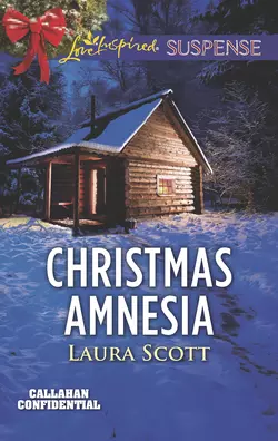 Christmas Amnesia, Laura Scott