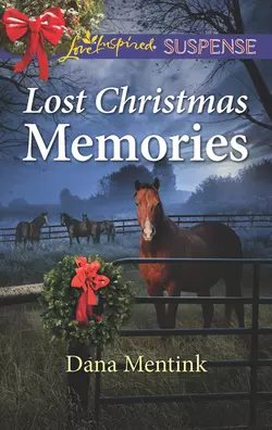 Lost Christmas Memories Dana Mentink