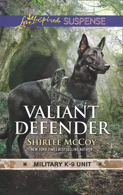 Valiant Defender, Shirlee McCoy