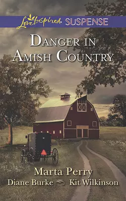 Danger in Amish Country: Fall from Grace / Dangerous Homecoming / Return to Willow Trace, Diane Burke