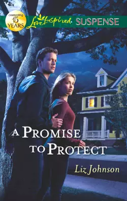 A Promise to Protect Liz Johnson