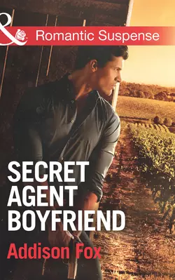 Secret Agent Boyfriend, Addison Fox