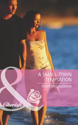 A Small-Town Temptation, Terry McLaughlin