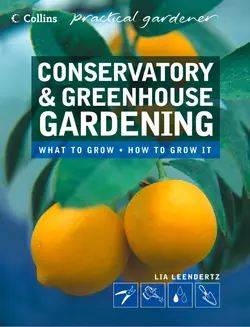 Conservatory and Greenhouse Gardening, Lia Leendertz