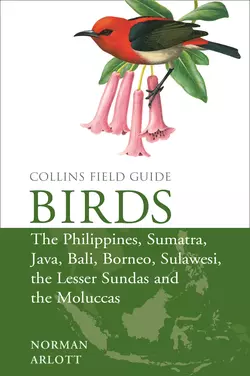 Birds of the Philippines: and Sumatra, Java, Bali, Borneo, Sulawesi, the Lesser Sundas and the Moluccas, Norman Arlott