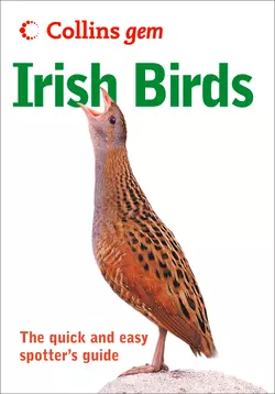 Irish birds, Norman Arlott