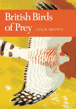 British Birds of Prey, Leslie. Brown