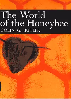 The World of the Honeybee, Colin Butler