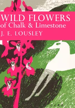 Wild Flowers of Chalk and Limestone, J. Lousley