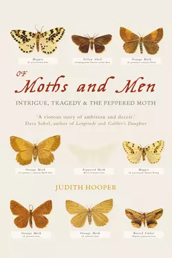 Of Moths and Men: Intrigue, Tragedy and the Peppered Moth, Judith Hooper