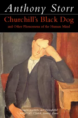 Churchill’s Black Dog Anthony Storr