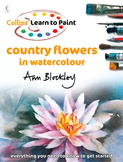 Country Flowers in Watercolour, Ann Blockley