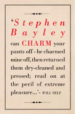 Charm: An Essay, Stephen Bayley