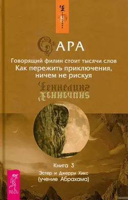 Сара. Книга 3. Говорящий филин стоит тысячи слов. Как пережить приключения, ничем не рискуя, Эстер и Джерри Хикс