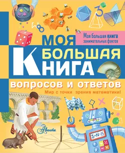 Моя большая книга вопросов и ответов. Мир с точки зрения математики! Лиза Риган