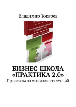 Бизнес-школа «Практика 2.0». Практикум по менеджменту эмоций Владимир Токарев