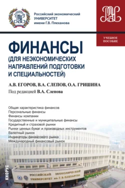 Финансы (для неэкономических направлений подготовки и специальностей). (Бакалавриат). Учебное пособие. Ольга Гришина и Алексей Егоров