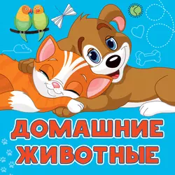 Домашние животные, Анна Игнатова