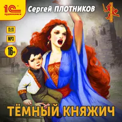 Темный княжич, Сергей Плотников