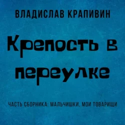 Крепость в переулке, Владислав Крапивин