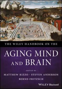 The Wiley Handbook on the Aging Mind and Brain, Steven Anderson