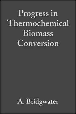 Progress in Thermochemical Biomass Conversion, A. Bridgwater