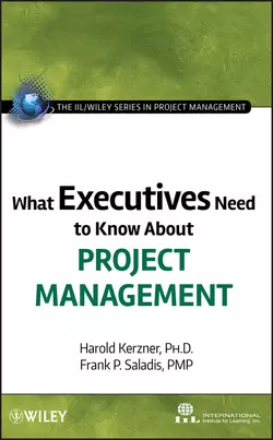 What Executives Need to Know About Project Management, Harold Kerzner