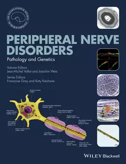 Peripheral Nerve Disorders Jean-Michel Vallat и Joachim Weiss