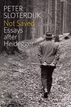 Not Saved, Peter Sloterdijk