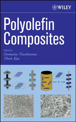 Polyolefin Composites, Domasius Nwabunma