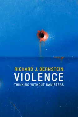 Violence, Richard Bernstein